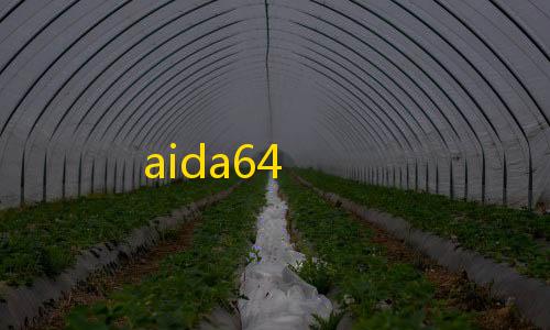 暗区突围透视辅助aida64
